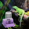 Hangsu Automatic Reptile Water Dispenser view 3
