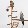 Wooden Bird Playground with Swing, Training Stand and Beak-Chewing Station for Parakeets view 3