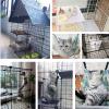Indoor Pet Playpen view 3