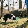 Dog Poop Picker with Extendable Handle view 2