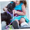 ibasenice Pet Suction Cup Tether for Small and Medium Dogs with Carabiner, Random Color view 4