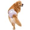 Dog Menstrual Pants, Soft, Adjustable, Leakproof, Comfortable, Physiological Protection for Female Large Dogs, Labrador, Golden Retriever, Polyester (M) view 2