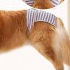 Dog Menstrual Pants, Soft, Adjustable, Leakproof, Comfortable, Physiological Protection for Female Large Dogs, Labrador, Golden Retriever, Polyester (M) view 4