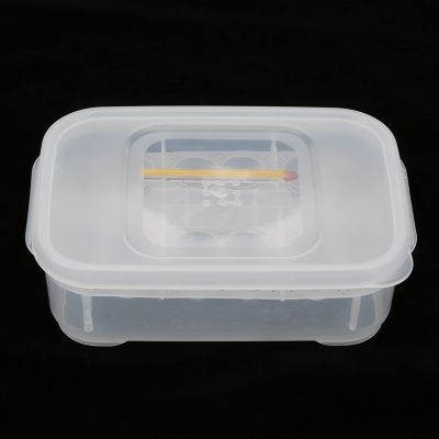 Riuulity Robust 12 Grid Incubator