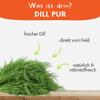 Fresh Dill 3 kg for Small Pets & Rodents – Natural Herb Fresh Food/Supplementary Food for Rabbits, Guinea Pigs & Hares view 2