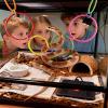 Snake Enrichment Climbing Accessories for Reptiles view 2