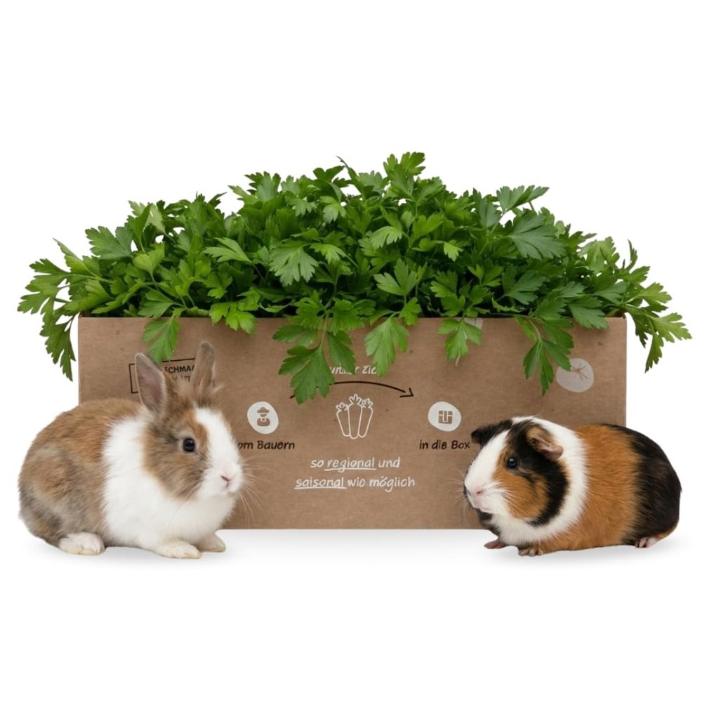 Fresh Flat-Leaf Parsley 2 kg for Small Pets & Rodents – Natural Fresh Food for Rabbits, Guinea Pigs & Hares