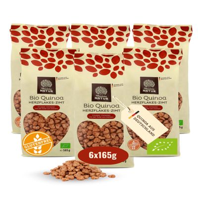 Mudda Natur Organic Quinoa Heart Flakes Cinnamon & Date 6 x 125 g from Germany