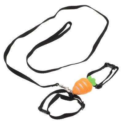 VALICLUD Rabbit Leash