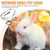 VALICLUD Rabbit Leash view 3