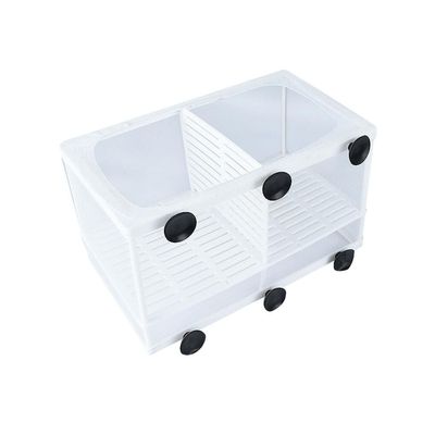 Zambuph Plastic Aquarium Fry Rearing Box