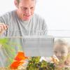 Mikikit Transparent Acrylic Aquarium Breeding Box with Divider view 4