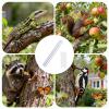 Generic Transparent Self-Adhesive Waterproof Tree Trunk Tape view 4