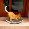 Oval Cat Lounge Bed view 2