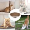 Oval Cat Lounge Bed view 4