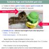 Puppy Nursing Bottles, Multi-Pet Milk Feeder with 4 Silicone Nipples, 240 ml, Green view 3