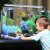 4-Piece Aquarium Decor Set with Betta Rest Tunnel, Feeding Ring, and Artificial Plants view 3