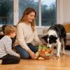 Snuffle Mat Interactive Food Games with Carrots view 2