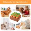 Snuffle Mat Interactive Food Games with Carrots view 4