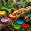 12 Pack Silicone Gecko Water Bowls view 4