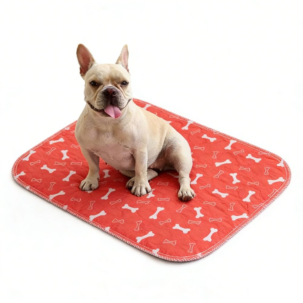 Donubiiu PIPI Mat for Dogs, Washable Puppy Pad with Pheromones, Waterproof, Absorbent, Orange, 80 × 90 cm