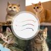 Natural Cotton Cat Rope Toy, Bite-Resistant, Dental Care view 4