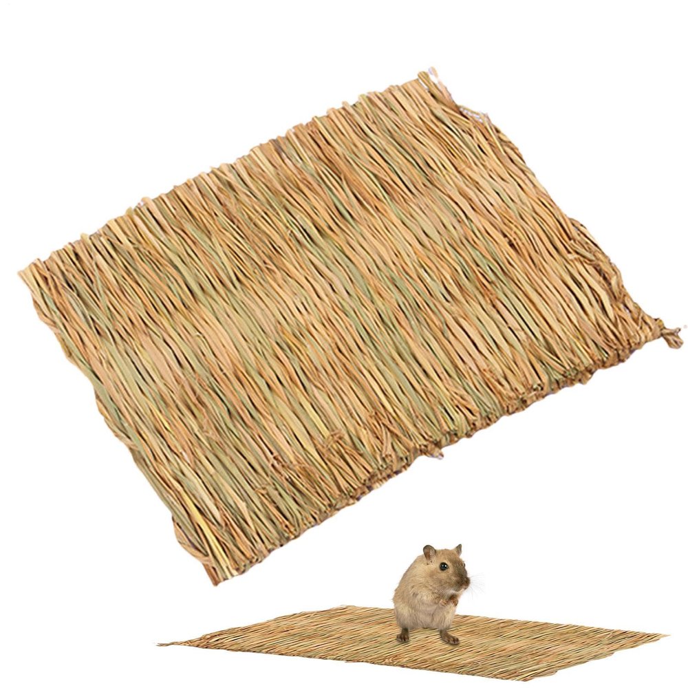 Natural Grass Mat for Cats