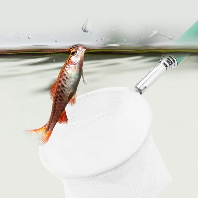 HEEPDD Fishing Net with Stainless Steel Handle