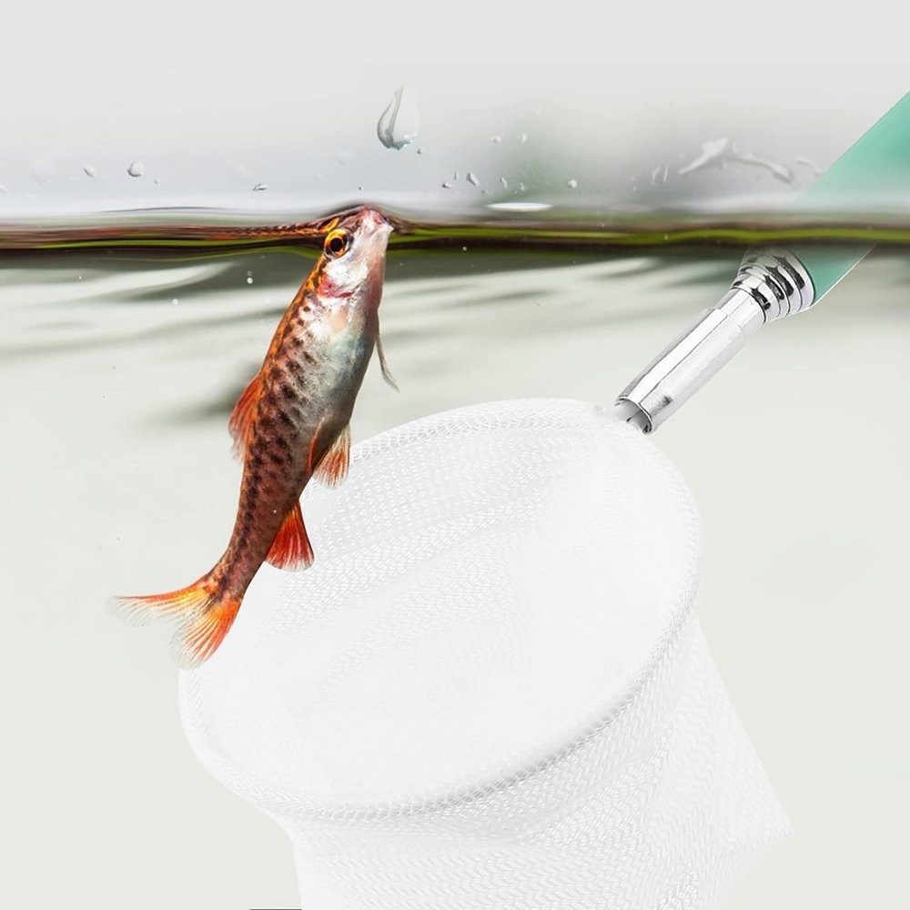 HEEPDD Fishing Net with Stainless Steel Handle