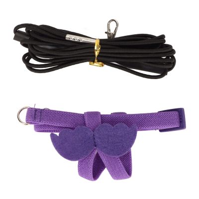 HEEPDD Bird Harness, Adjustable Nylon Flight Harness for Parrots, Pigeons, with Leash, for Outdoor Use (Purple)