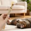 Beiykhera 5-Pack Catnip Silvervine Sticks view 3