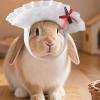 Woedpez Pet Bun Hair Accessories and Costume Hat view 2