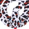 HOODANCOS Interactive Snake Cat Toy with Catnip, Plush view 4