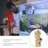 WOONEKY Resin Coral Aquarium Ornament view 2