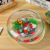 2-Piece Round Transparent Practical Fish Bowls, 2,800 ml, Plastic view 4