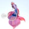 Ciieeo Acrylic Magnifying Glass for Aquariums and Small Animals view 4