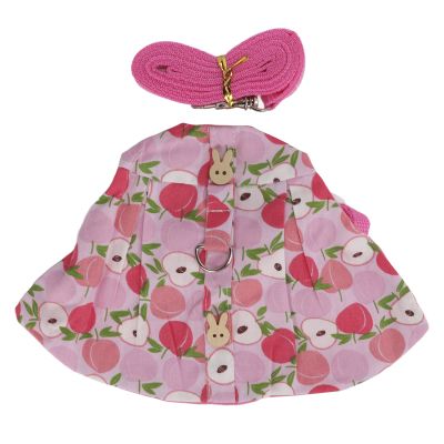 Rabbit Harness and Leash Set, Cute Breathable Outfit for Small Pets, Size S