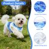 Cooling Vest for Dogs view 3