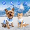 Cooling Vest for Dogs view 4