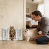Cat Door, 27.3 x 24 x 7 cm, French Retro Design view 3