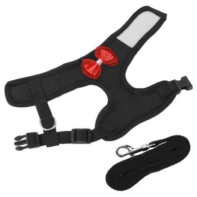 Chrees Chicken Harness and Leash (M)