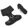 Chrees Chicken Harness and Leash (M) view 2