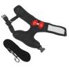Chrees Chicken Harness and Leash (M) view 4