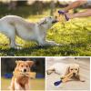 Durable Tug Toy for Medium and Large Dogs view 4