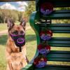 Dog Muzzle with Adjustable Strap, Breathable, Front Opening view 4