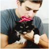 Cat Brush, Pet Grooming Brush view 2