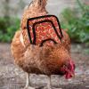 Chicken Saddle for Poultry Protection view 2
