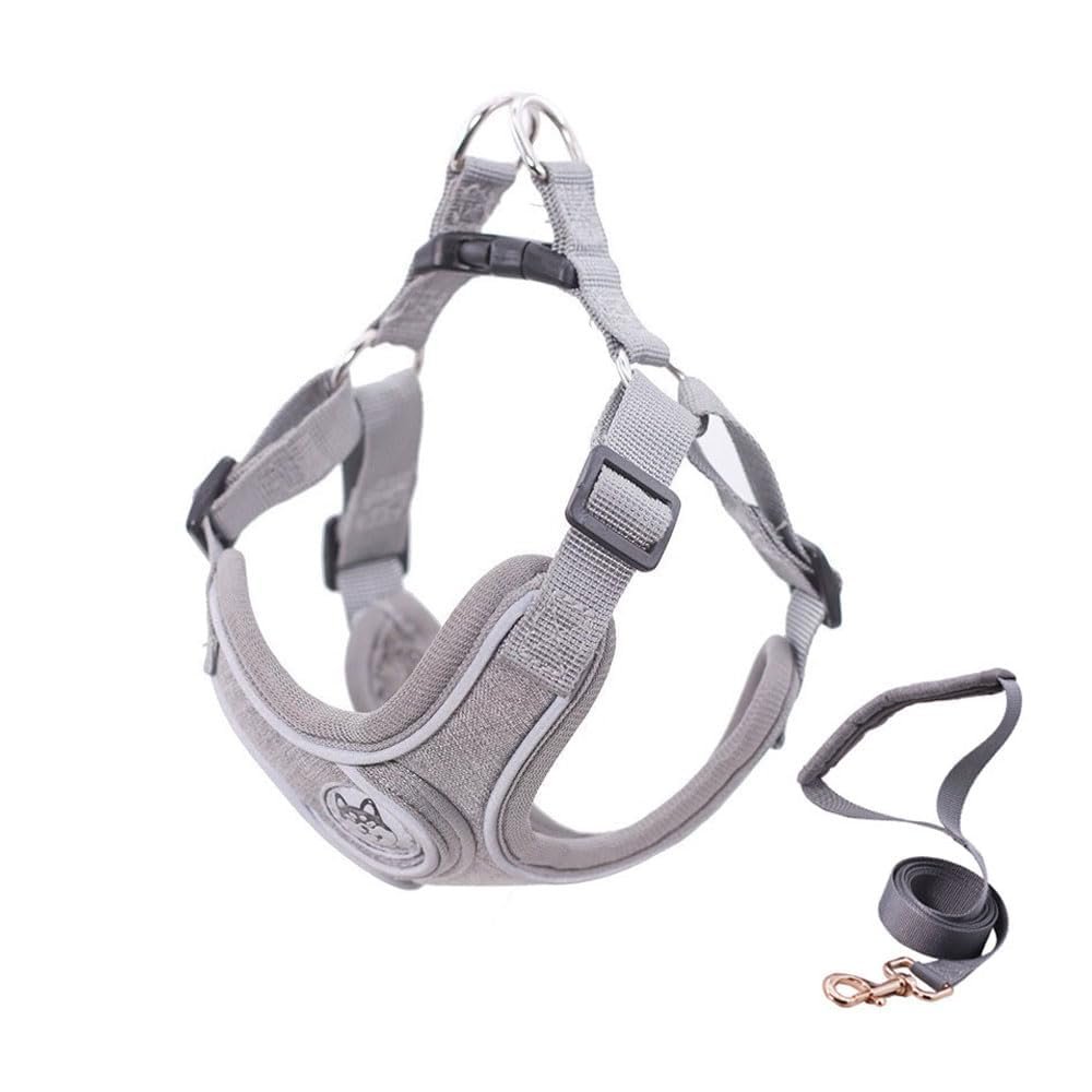 BKEPDY Reflective Dog Harness and Leash Set for Small Dogs