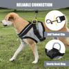 BKEPDY Adjustable Cat Harness with Leash (M) view 2