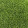COOPHYA Realistic Moss Decoration for Aquarium view 4